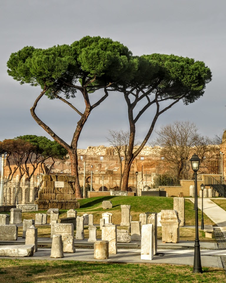 Archaeological Park of the Celio in Rome