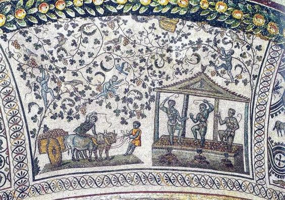 Mosaic of a wine harvest, church of Santa Costanza, Rome