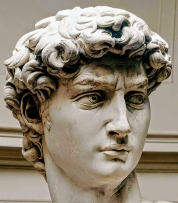 Head of David by Michelangelo, Galleria dell' Accademia, Florence