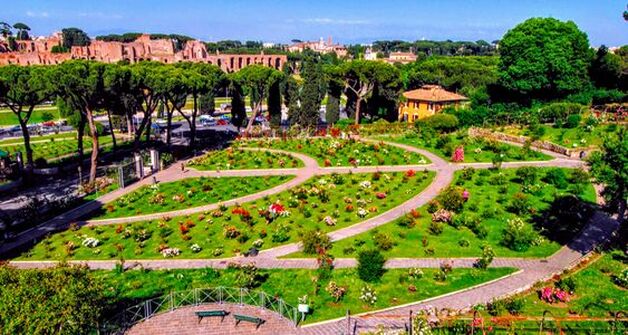 The Rose Garden, Rome
