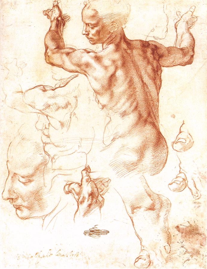 Study for the Libyan Sibyl, chalk drawing by Michelangelo